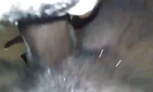 आबनूस रानी म्हारै लं ...